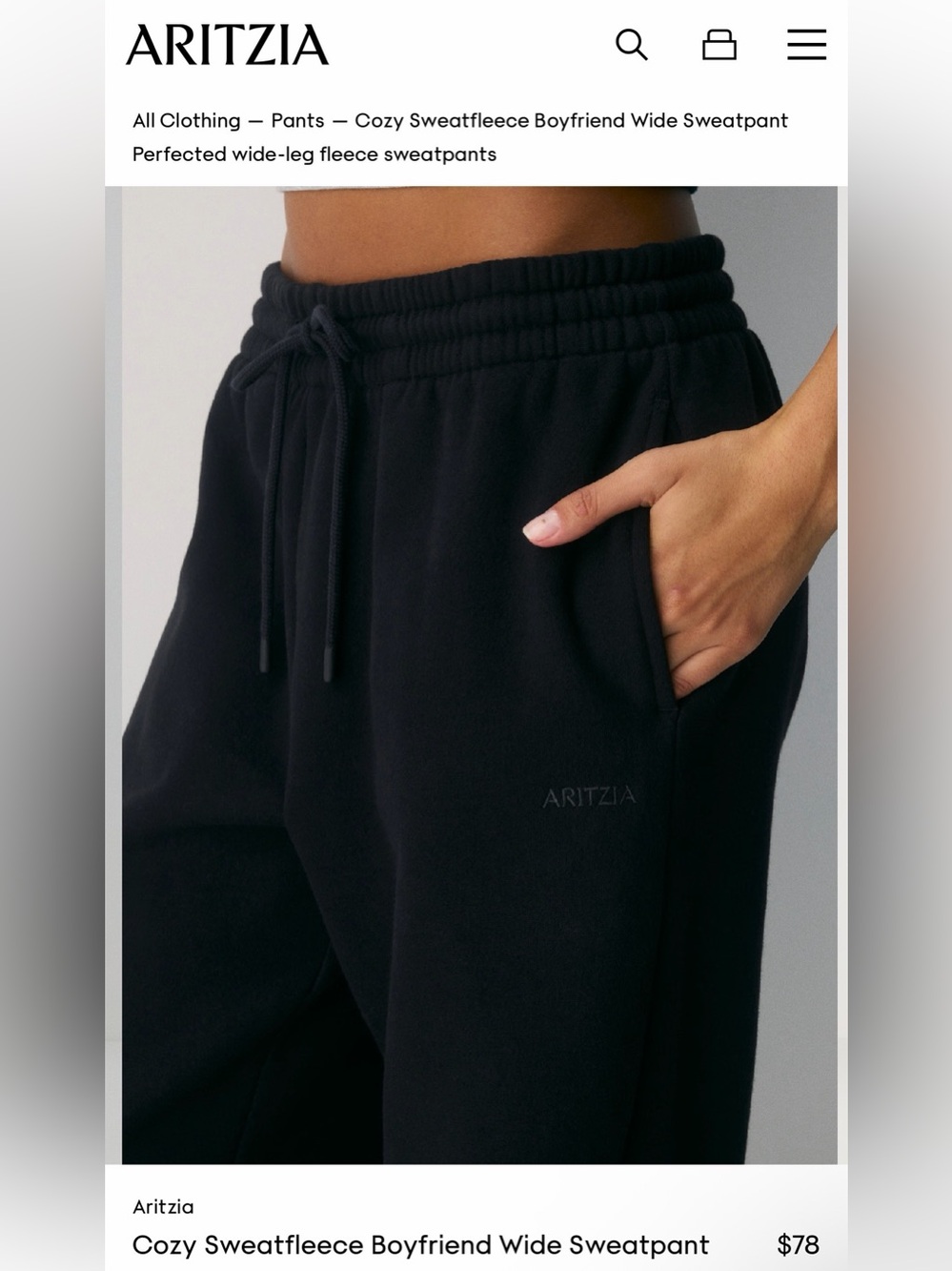 Aritzia Cozy Sweatfleece Boyfriend Wide-Leg Sweatpants
